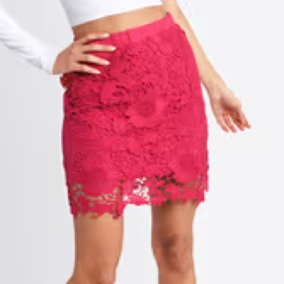 Tobi Dresses & Skirts - TOBI NWT women’s skirt mini size small pink lace S/P‎ lace bright Barbie core